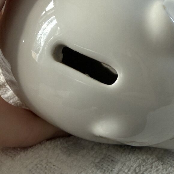 Vintage Princeton University Ivy League Alumni Piggy Bank Gold Detail - Picture 5 of 10